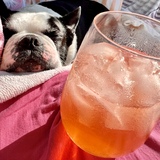 Entry image for Lino