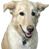 Entry image for Hepburn