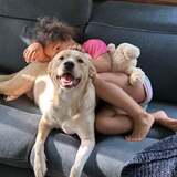 Entry image for Shelby