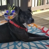 Entry image for Cede