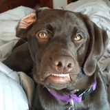 Entry image for River