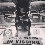 Entry image for Valentino aka Tootlebean