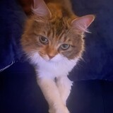 Entry image for Ayah 