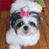 Entry image for George 