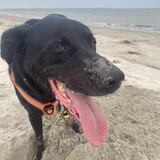 Entry image for Cash