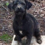 Entry image for Duke