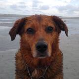 Entry image for Lucy