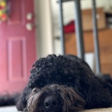 Entry image for Tess