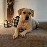 Entry image for Folly 