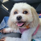 Entry image for Chloe