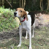 Entry image for Annie