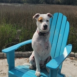 Entry image for Peaches