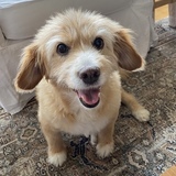 Entry image for Addie