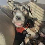 Entry image for Eddie Kane Jr