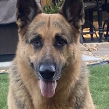 Entry image for Jada King