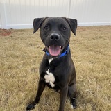 Entry image for Flint