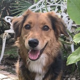 Entry image for Edith-Ann