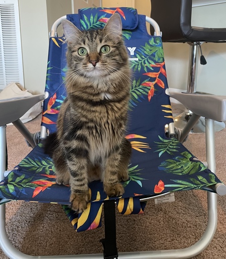 Entry image for Priya. Clicking this image will show a larger photo