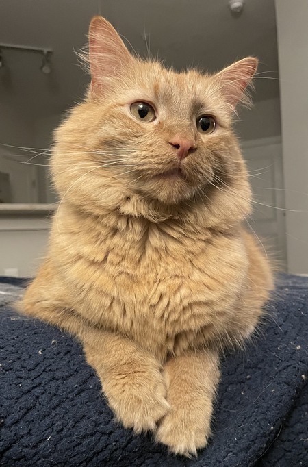 Entry image for Jack. Clicking this image will show a larger photo