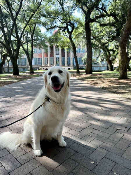 Entry image for Ibbie Brown. Clicking this image will show a larger photo