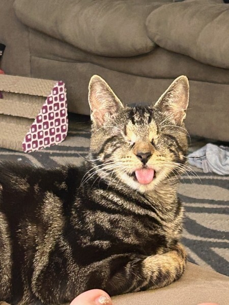 Entry image for Toph Beifong. Clicking this image will show a larger photo