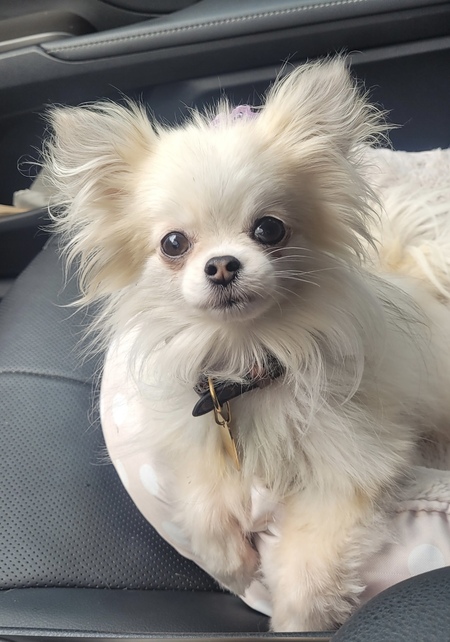 Entry image for Ethel. Clicking this image will show a larger photo