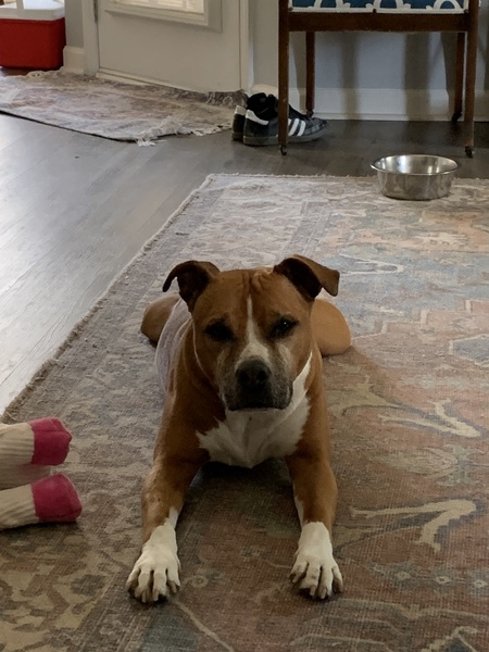 Entry image for Lady. Clicking this image will show a larger photo