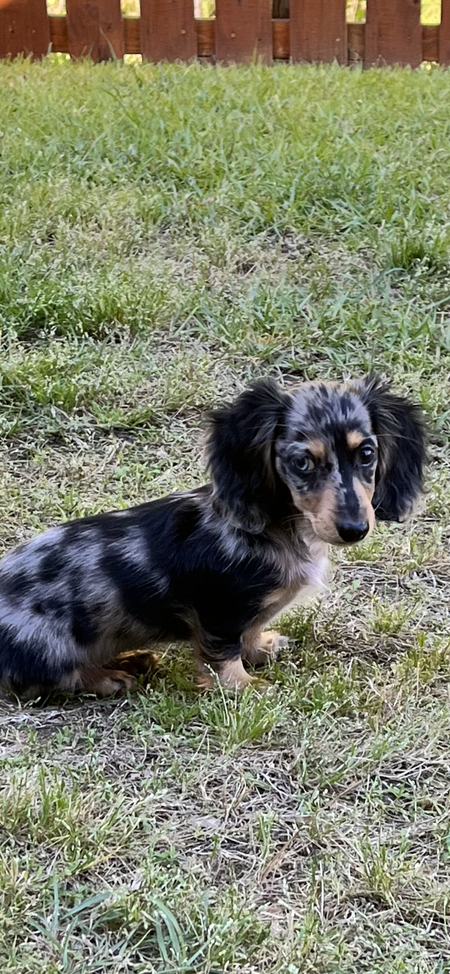 Entry image for Abbey . Clicking this image will show a larger photo