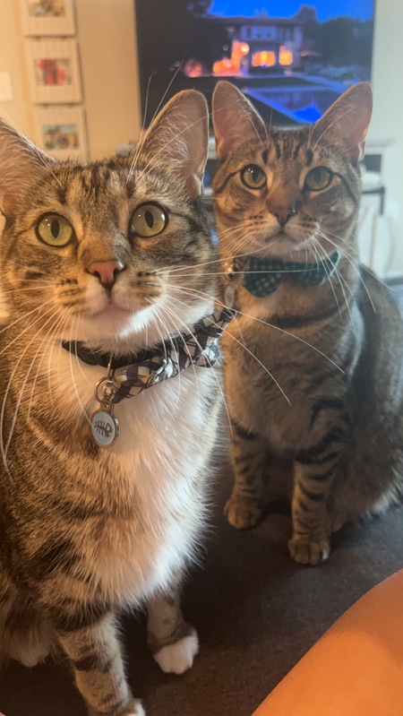 Entry image for Trevor & Cory. Clicking this image will show a larger photo