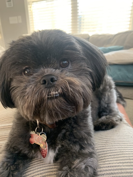 Entry image for KC. Clicking this image will show a larger photo