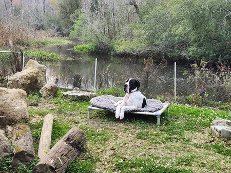 Entry image for Jonas. Clicking this image will show a larger photo