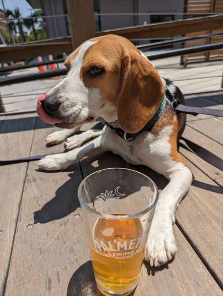 Entry image for Steve. Clicking this image will show a larger photo