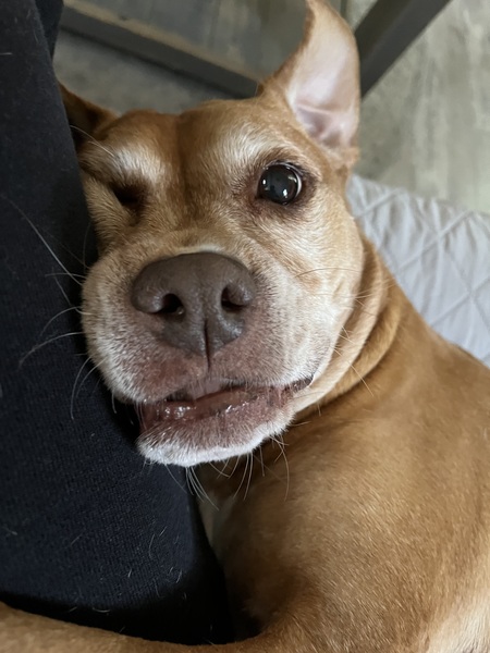 Entry image for Moley. Clicking this image will show a larger photo