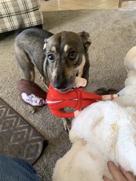 Entry image for Sila. Clicking this image will show a larger photo