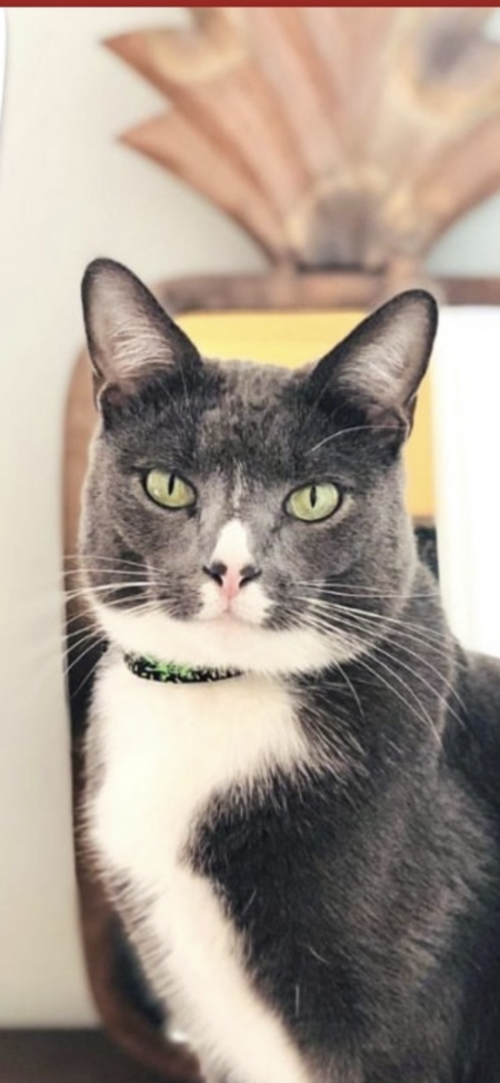 Entry image for Bing. Clicking this image will show a larger photo