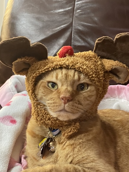 Entry image for Tucker. Clicking this image will show a larger photo