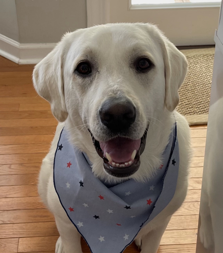 Entry image for Croix. Clicking this image will show a larger photo