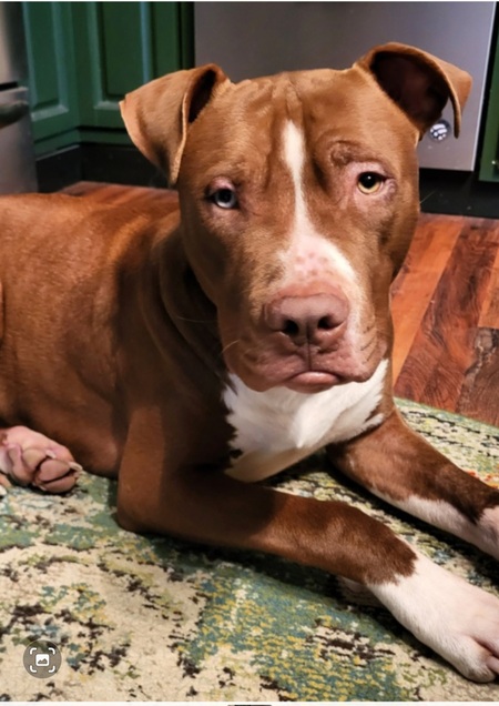 Entry image for Peter Beans. Clicking this image will show a larger photo