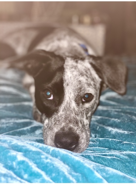 Entry image for Frida K. Clicking this image will show a larger photo