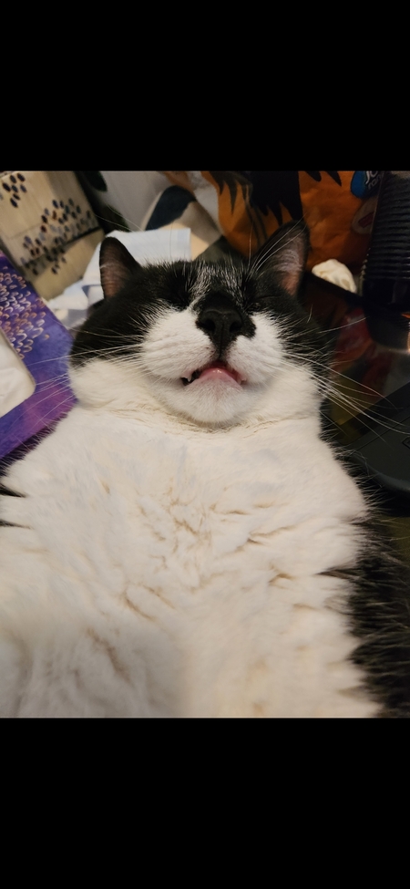 Entry image for Slayer. Clicking this image will show a larger photo