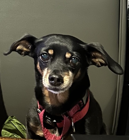 Entry image for BP for Birthday Present. Clicking this image will show a larger photo