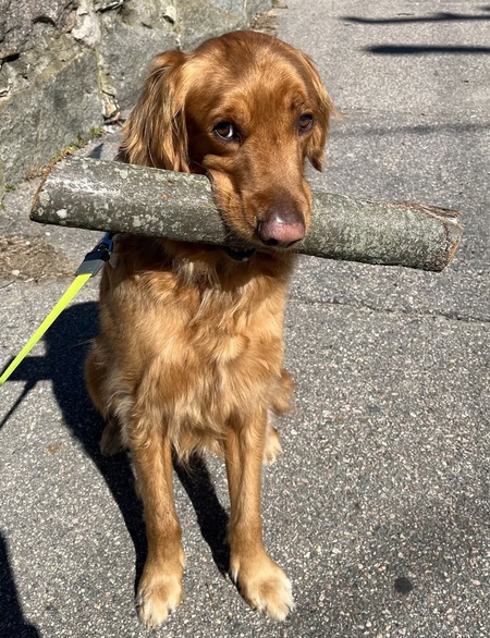 Entry image for Tahoe. Clicking this image will show a larger photo