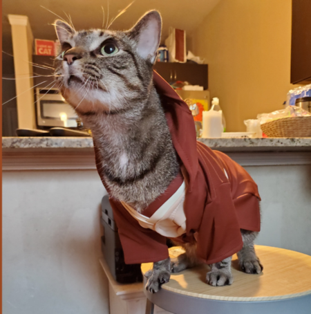 Entry image for Obi Wan Kenobi. Clicking this image will show a larger photo