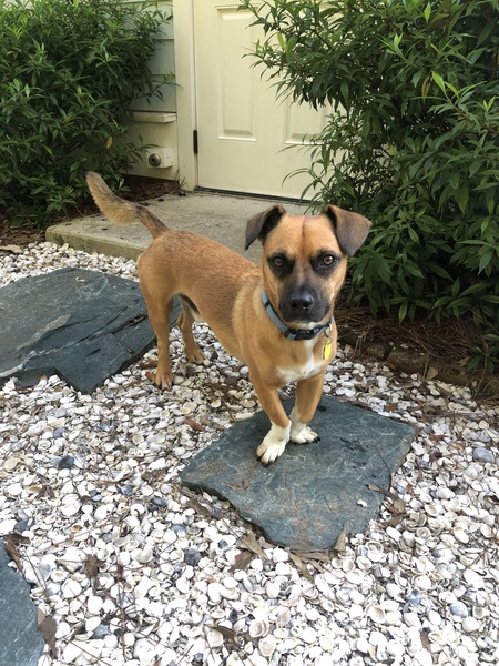 Entry image for Marty. Clicking this image will show a larger photo