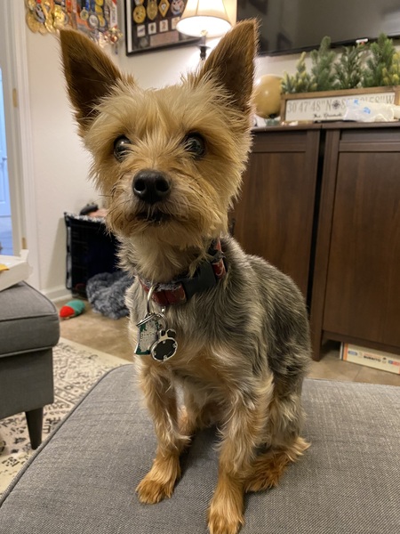 Entry image for Justice . Clicking this image will show a larger photo