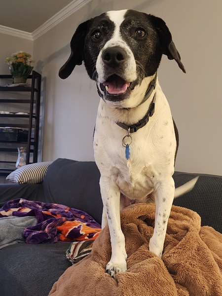 Entry image for Kaila. Clicking this image will show a larger photo