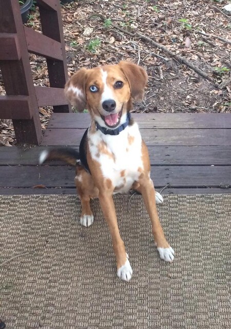 Entry image for Janie. Clicking this image will show a larger photo