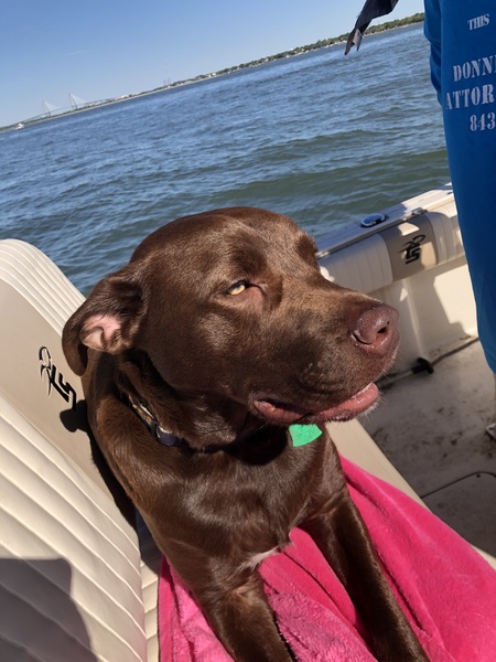 Entry image for Tommy. Clicking this image will show a larger photo