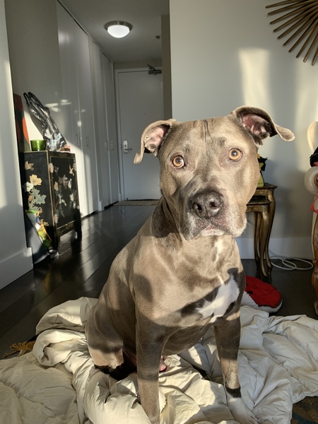 Entry image for Rockwell. Clicking this image will show a larger photo