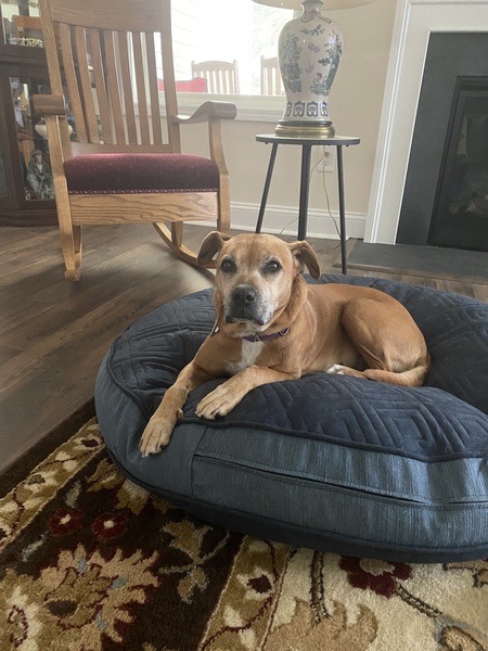 Entry image for Butter. Clicking this image will show a larger photo